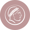 Internetagentur für Webseiten und Webdesign, Rankingverbesserung, SEO